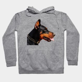 Doberman Pinscher Real life Portrait Hoodie